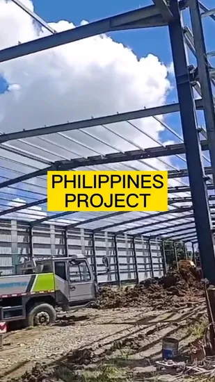 Prefab Steel Structure Galvanized Steel Appliance Steel Carport Garage