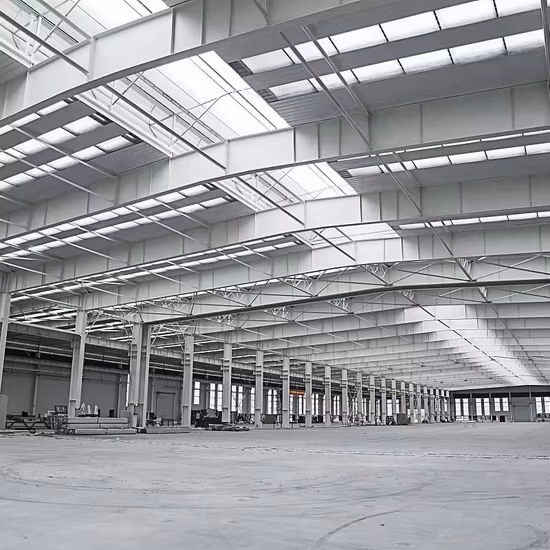 Steel Structure Hangar/Steel Parking Lot/Steel Garage