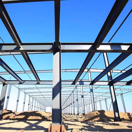 Steel Structure Hangar/Steel Parking Lot/Steel Garage