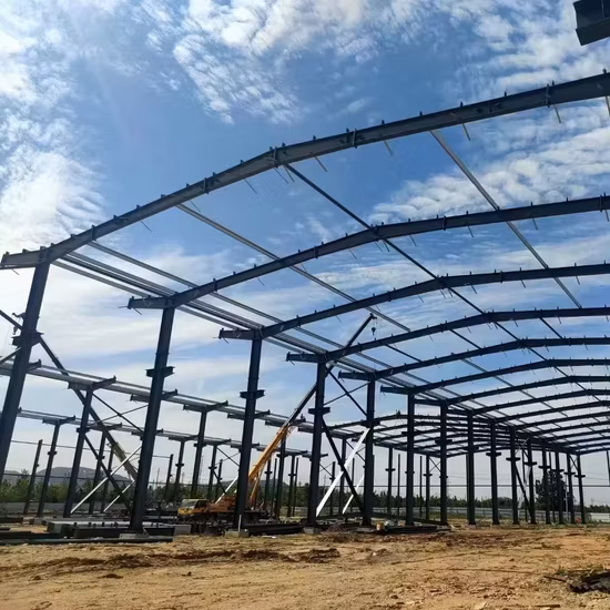 Steel Structure Hangar/Steel Parking Lot/Steel Garage